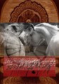 /album/kepgaleria-art-works/graphic4-jpg/